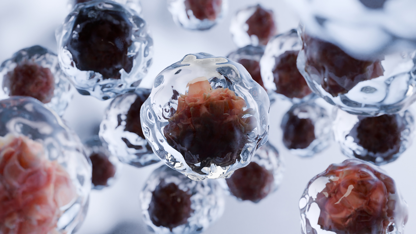 Why Apoptosis is essential to your health