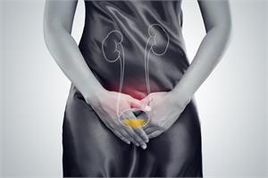 Bladder cancer - Latest News, Latest Research | CANCERactive