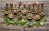 Using herbs to boost your immune system