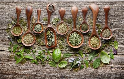 Using herbs to boost your immune system