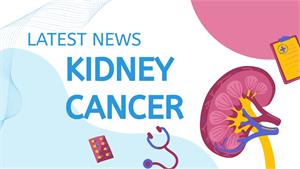 Kidney Cancer - Latest News, Latest Research | CANCERactive