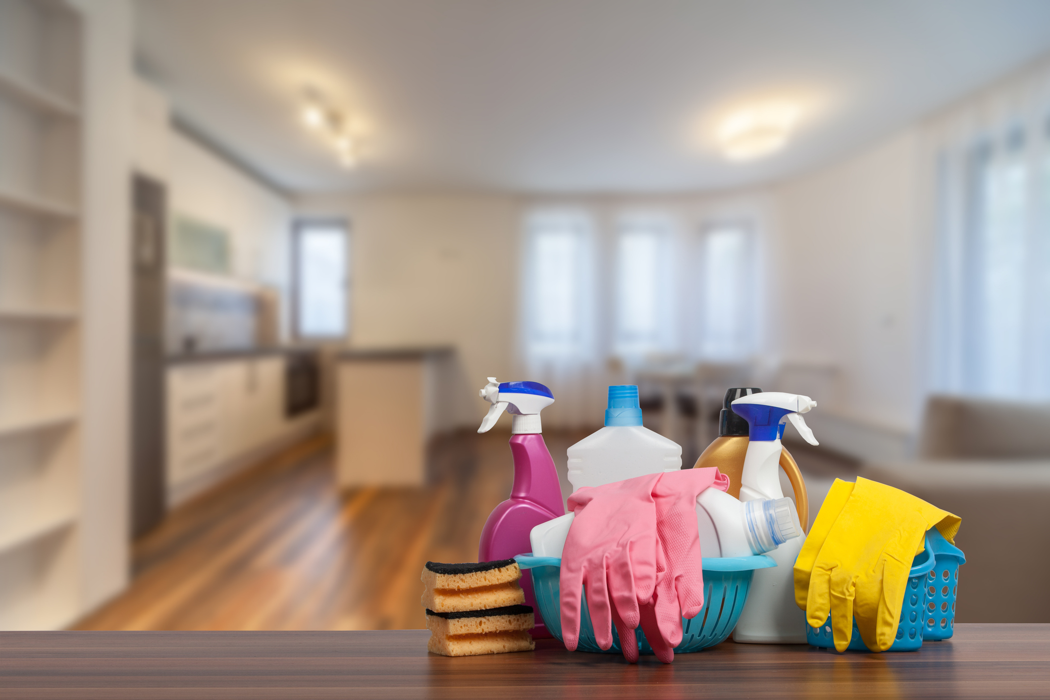 Environmental toxins, pollution and toxic chemicals in the home