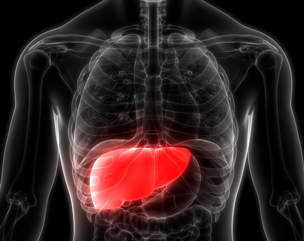 Liver Cancer - Latest News, Latest Research | CANCERactive