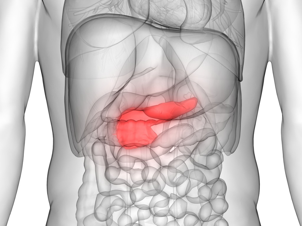 Pancreatic Cancer, Latest News, Latest Research | CANCERactive