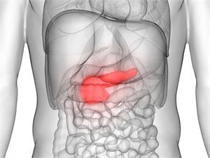 Pancreatic Cancer, Latest News, Latest Research | CANCERactive