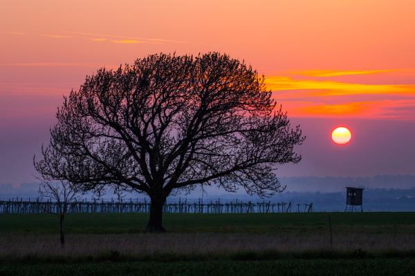 Night shift work linked to cancer risk in men