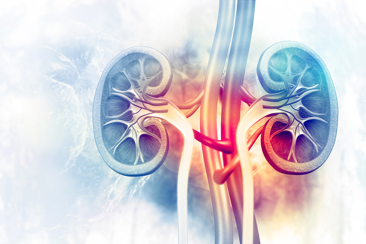 Kidney Tumours - The Facts