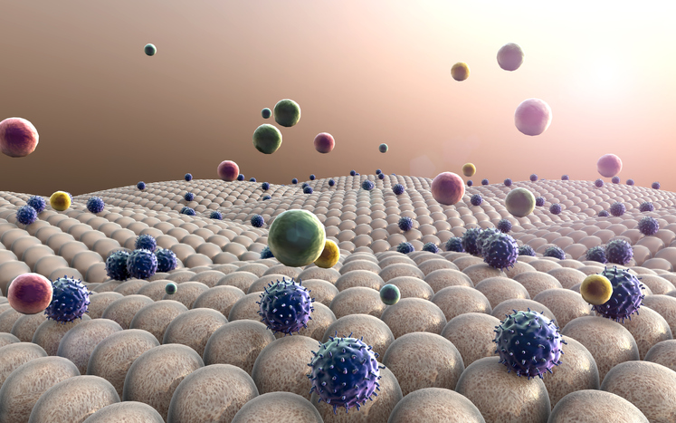 Double action Oncothermia destroys cancer cells in tumours