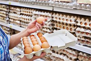 Consuming eggs may lower the threat of Alzheimer’s